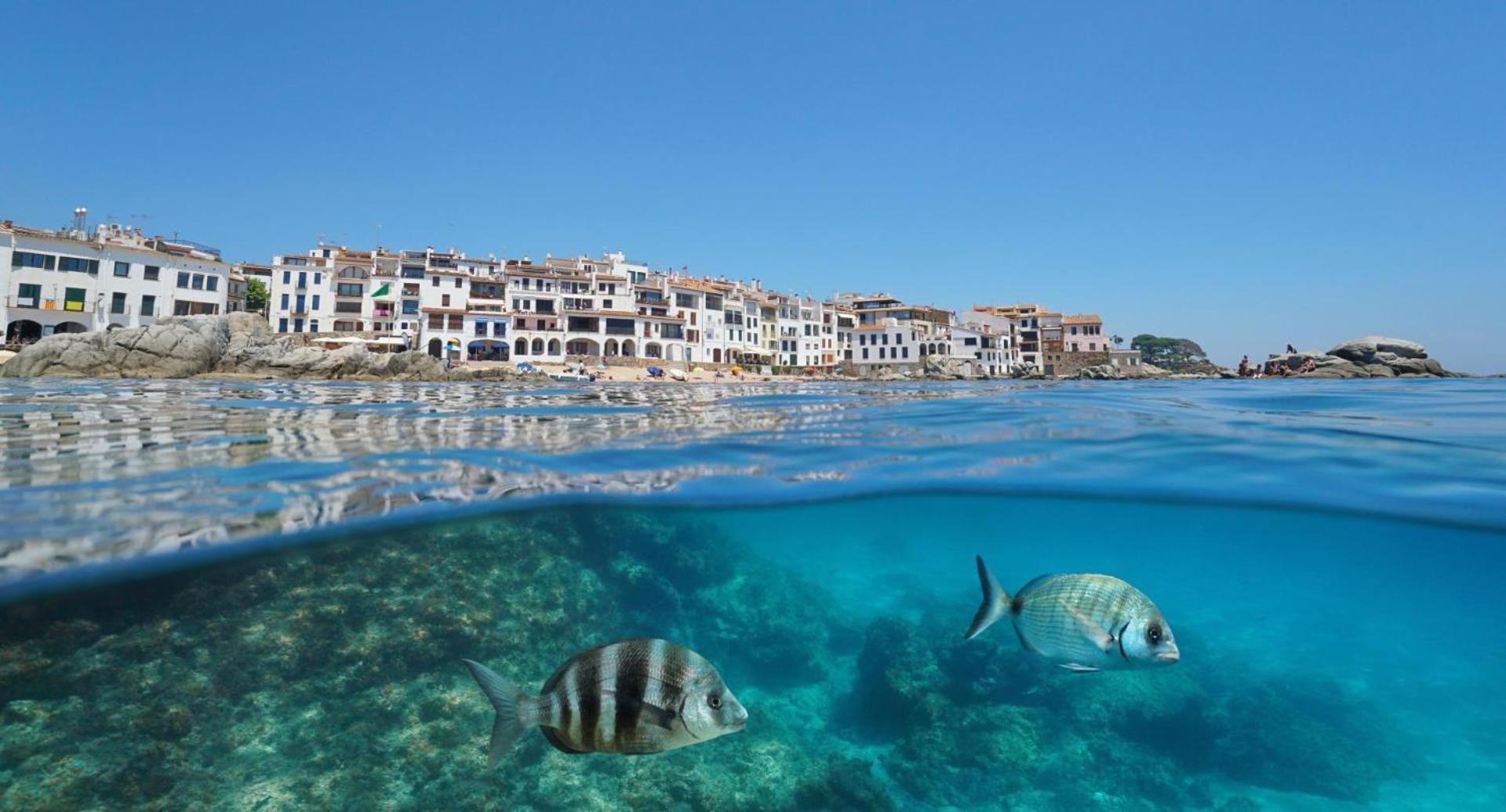 Apartamento Recien Reformado A 300 Metros Del Mar Calella De Palafrugell Extérieur photo