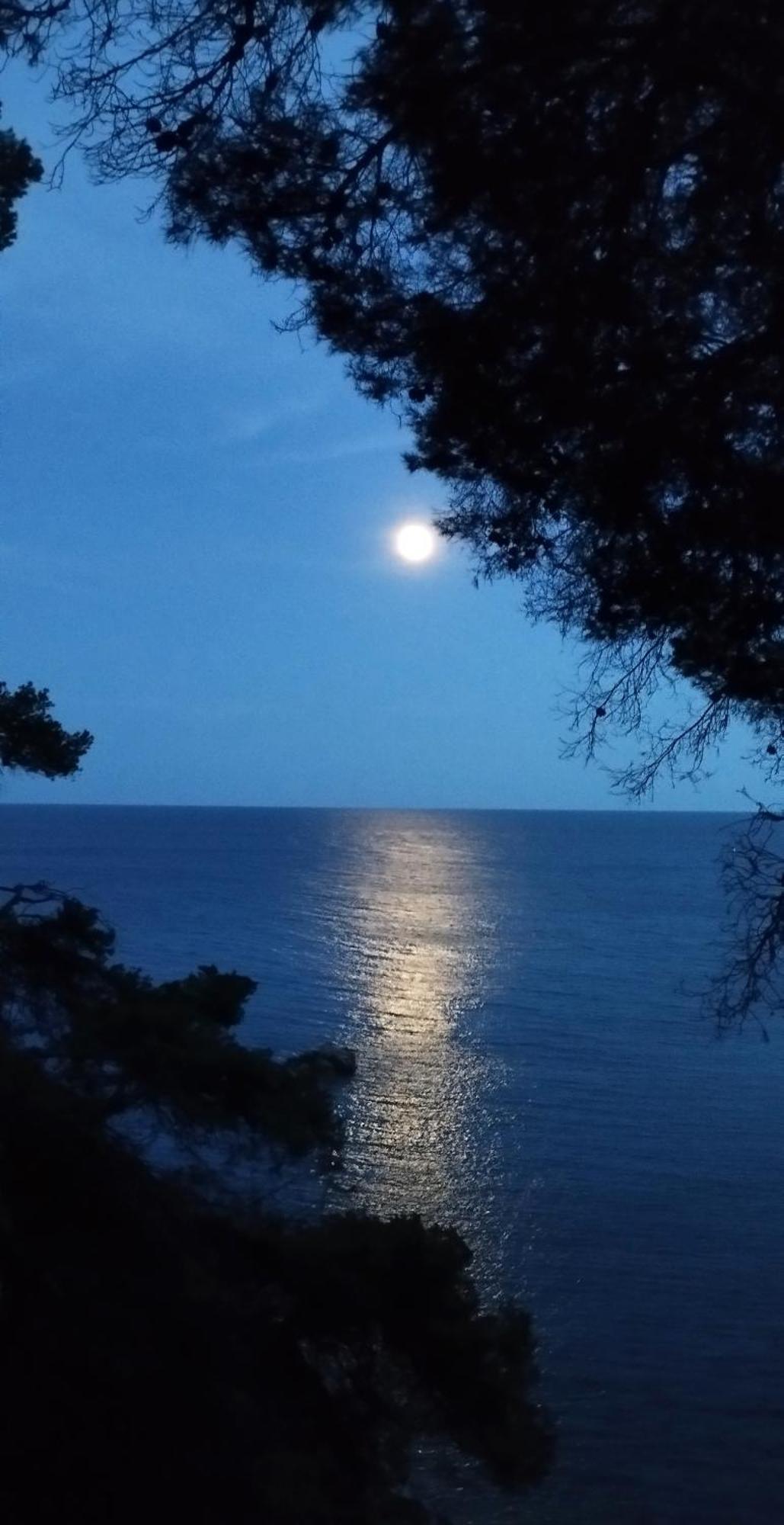 Apartamento Recien Reformado A 300 Metros Del Mar Calella De Palafrugell Extérieur photo