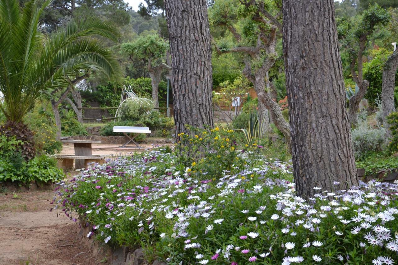 Apartamento Recien Reformado A 300 Metros Del Mar Calella De Palafrugell Extérieur photo