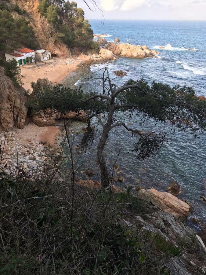Apartamento Recien Reformado A 300 Metros Del Mar Calella De Palafrugell Extérieur photo